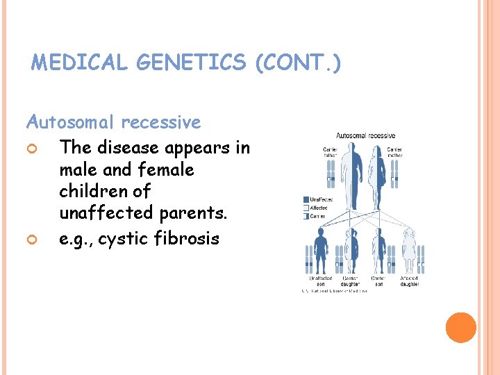 MEDICAL GENETICS (CONT. ) Autosomal recessive The disease appears in male and female children