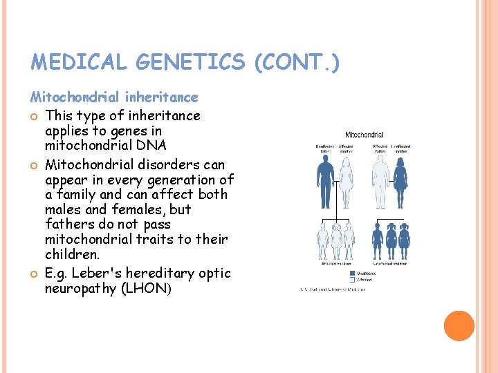 MEDICAL GENETICS (CONT. ) Mitochondrial inheritance This type of inheritance applies to genes in
