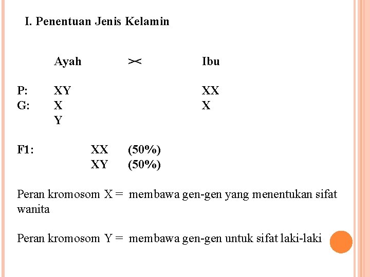 I. Penentuan Jenis Kelamin Ayah P: G: F 1: >< XY X Y Ibu