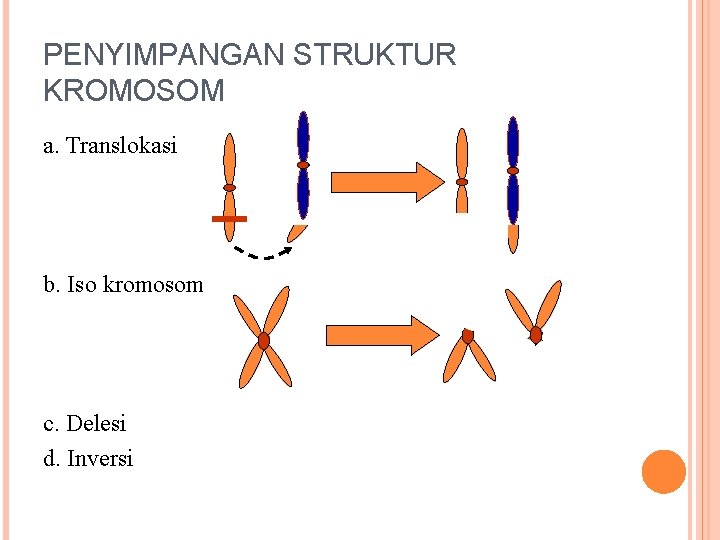 PENYIMPANGAN STRUKTUR KROMOSOM a. Translokasi b. Iso kromosom c. Delesi d. Inversi 