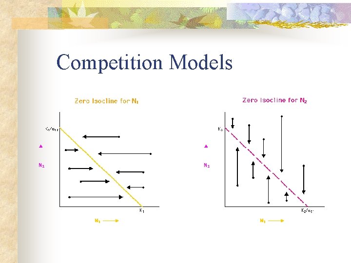 Competition Models 