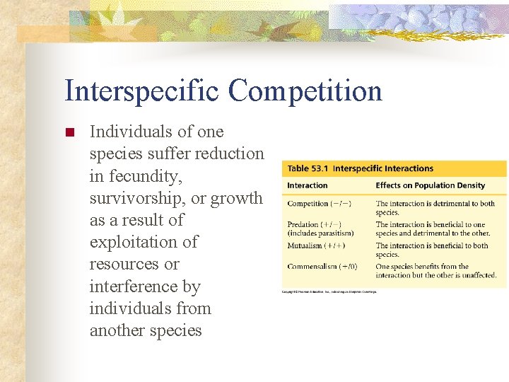 Interspecific Competition n Individuals of one species suffer reduction in fecundity, survivorship, or growth
