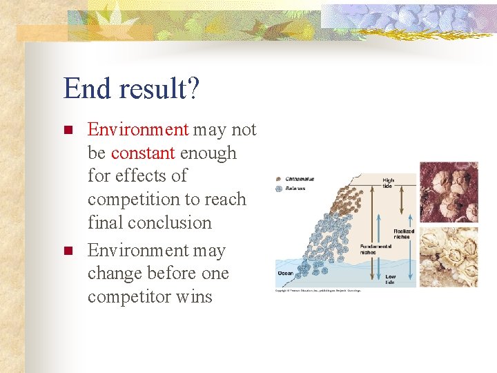 End result? n n Environment may not be constant enough for effects of competition