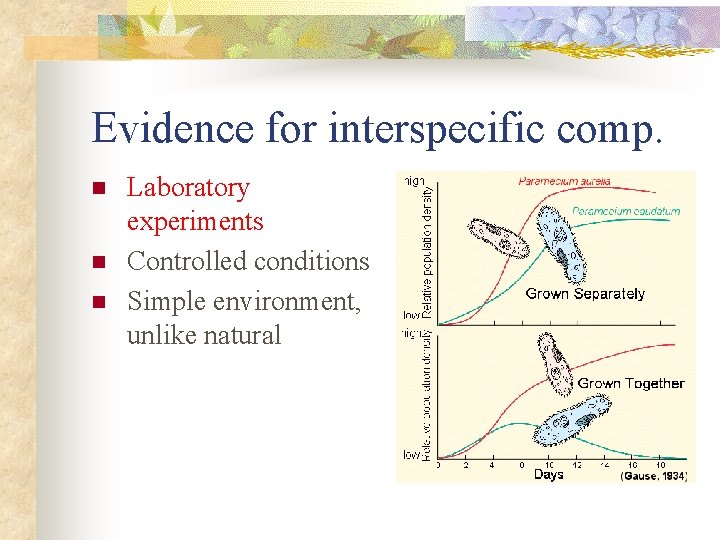 Evidence for interspecific comp. n n n Laboratory experiments Controlled conditions Simple environment, unlike