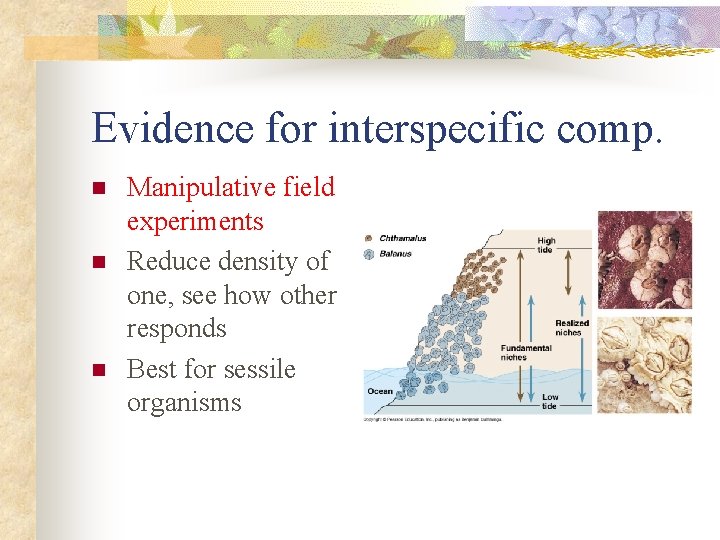 Evidence for interspecific comp. n n n Manipulative field experiments Reduce density of one,