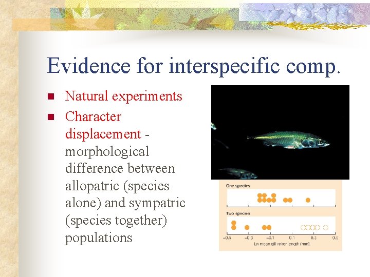 Evidence for interspecific comp. n n Natural experiments Character displacement morphological difference between allopatric