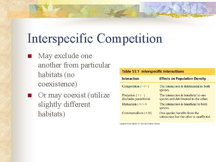 Interspecific Competition n n May exclude one another from particular habitats (no coexistence) Or