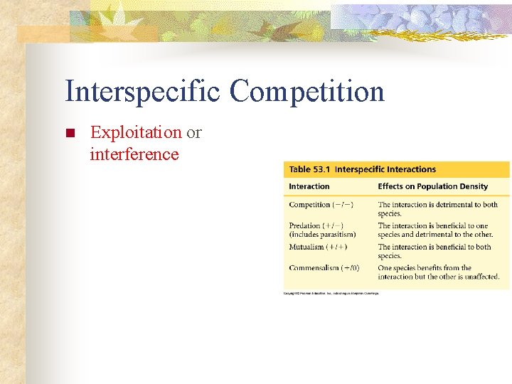 Interspecific Competition n Exploitation or interference 