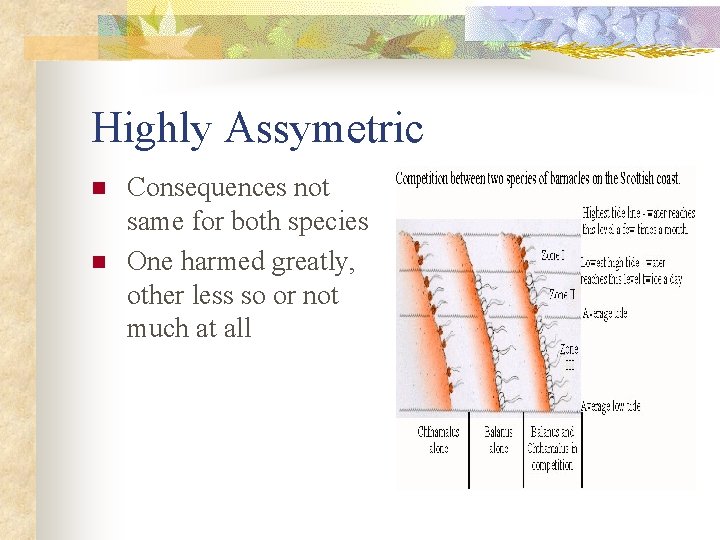 Highly Assymetric n n Consequences not same for both species One harmed greatly, other