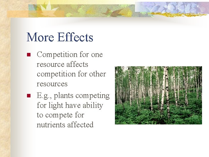 More Effects n n Competition for one resource affects competition for other resources E.