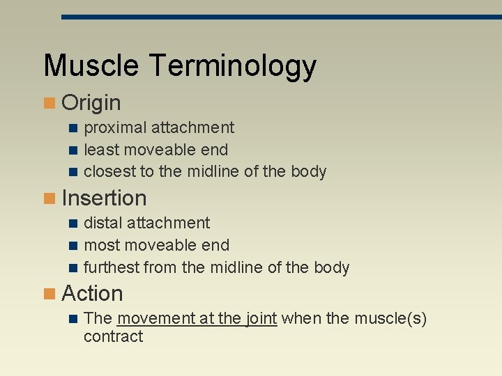 Muscle Terminology n Origin proximal attachment n least moveable end n closest to the