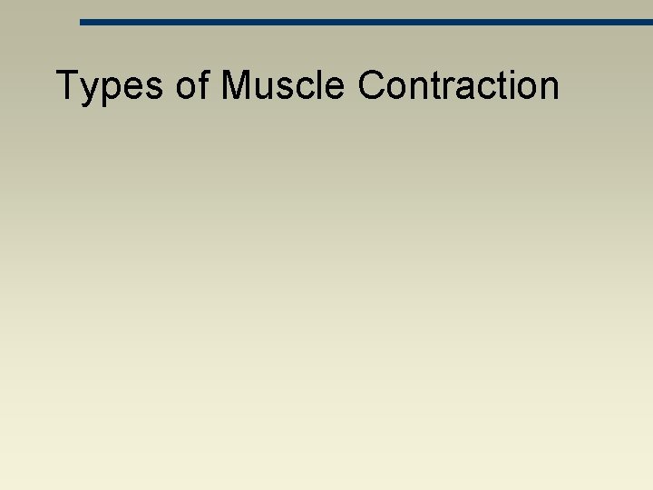 Types of Muscle Contraction 
