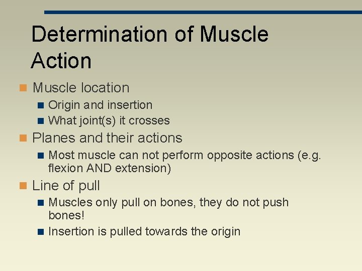 Determination of Muscle Action n Muscle location n Origin and insertion n What joint(s)