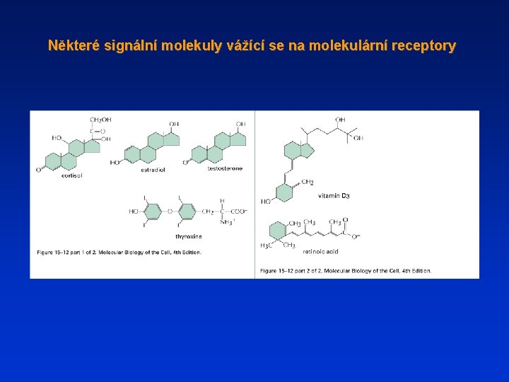 Některé signální molekuly vážící se na molekulární receptory 