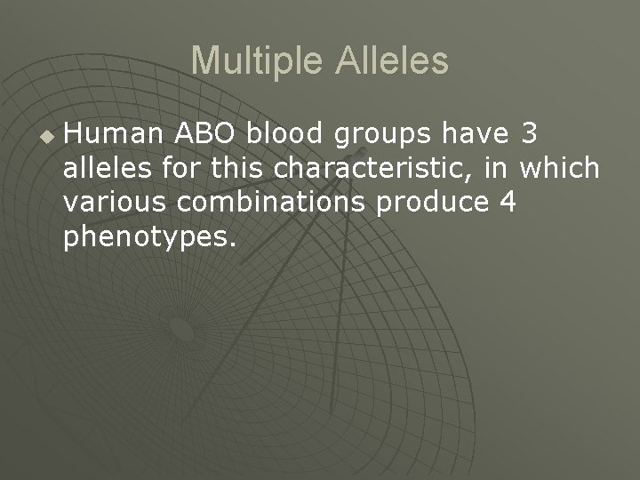 Multiple Alleles u Human ABO blood groups have 3 alleles for this characteristic, in