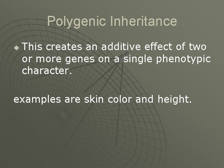 Polygenic Inheritance u This creates an additive effect of two or more genes on