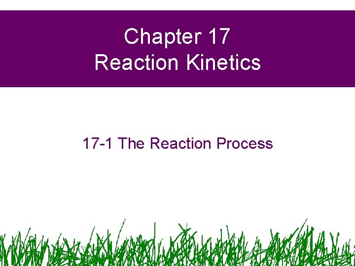Chapter 17 Reaction Kinetics 17 -1 The Reaction Process Chapter 17 Reaction Kinetics 17 -1 The Reaction Process