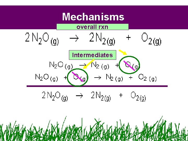 Mechanisms overall rxn Intermediates Mechanisms overall rxn Intermediates