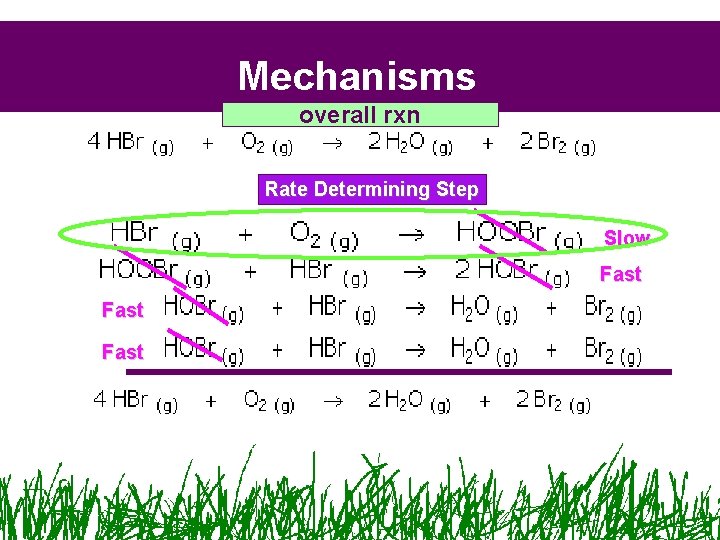 Mechanisms overall rxn Rate Determining Step Slow Fast Mechanisms overall rxn Rate Determining Step Slow Fast