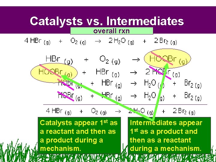 Catalysts vs. Intermediates overall rxn Catalysts appear 1 st as a reactant and then Catalysts vs. Intermediates overall rxn Catalysts appear 1 st as a reactant and then