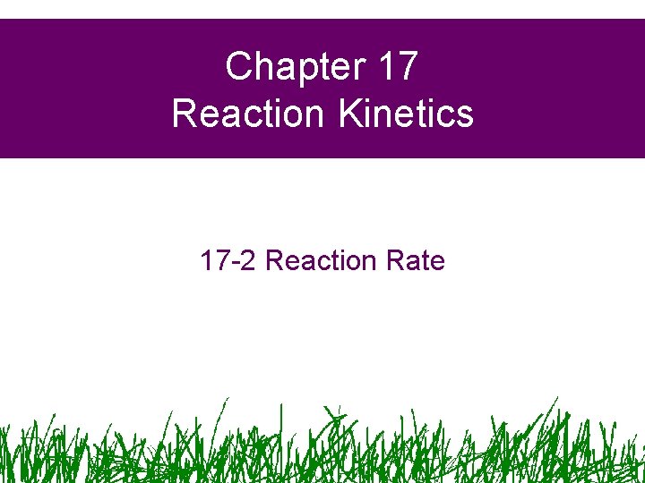 Chapter 17 Reaction Kinetics 17 -2 Reaction Rate Chapter 17 Reaction Kinetics 17 -2 Reaction Rate