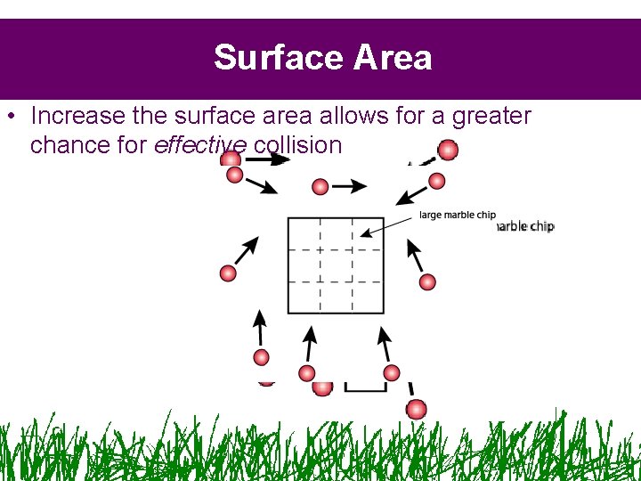 Surface Area • Increase the surface area allows for a greater chance for effective Surface Area • Increase the surface area allows for a greater chance for effective