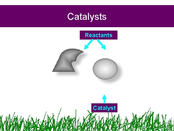 Catalysts Reactants Catalyst Catalysts Reactants Catalyst
