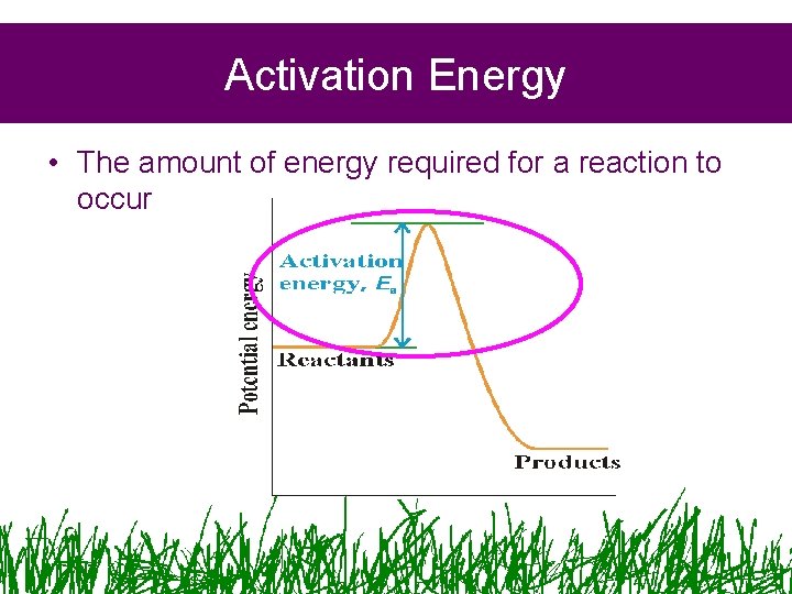Activation Energy • The amount of energy required for a reaction to occur Activation Energy • The amount of energy required for a reaction to occur