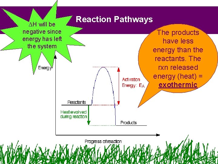 ∆H will be negative since energy has left the system Reaction Pathways The products ∆H will be negative since energy has left the system Reaction Pathways The products