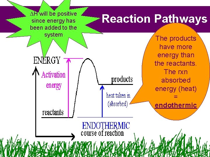∆H will be positive since energy has been added to the system Reaction Pathways ∆H will be positive since energy has been added to the system Reaction Pathways