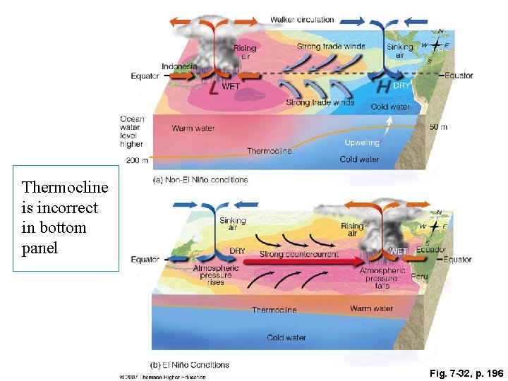 Thermocline is incorrect in bottom panel Fig. 7 -32, p. 196 