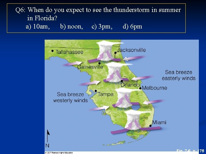 Q 6: When do you expect to see thunderstorm in summer in Florida? a)