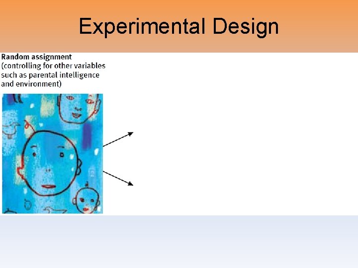 Experimental Design 