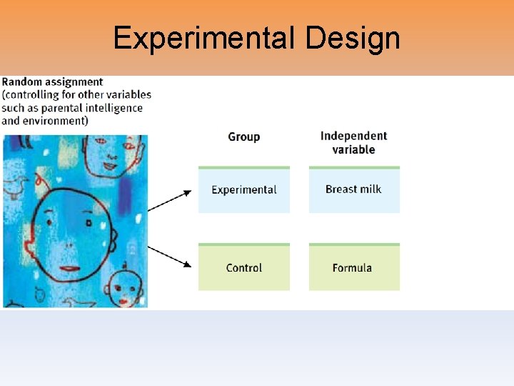 Experimental Design 