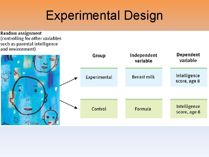 Experimental Design 