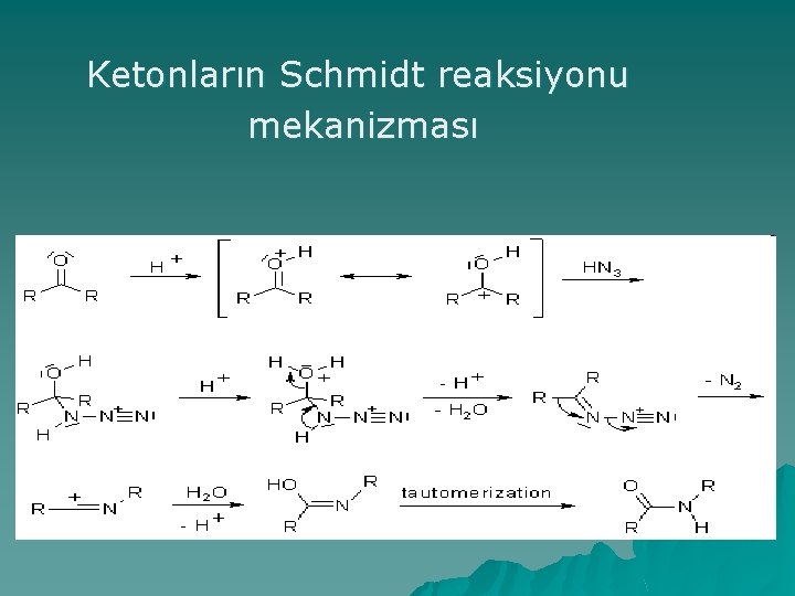 Ketonların Schmidt reaksiyonu mekanizması 
