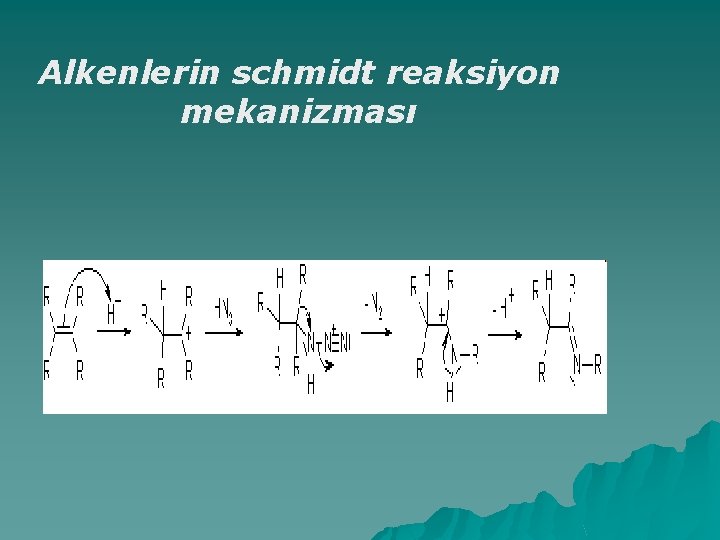 Alkenlerin schmidt reaksiyon mekanizması 