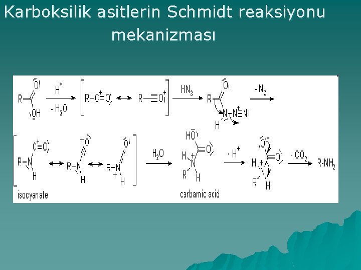 Karboksilik asitlerin Schmidt reaksiyonu mekanizması 
