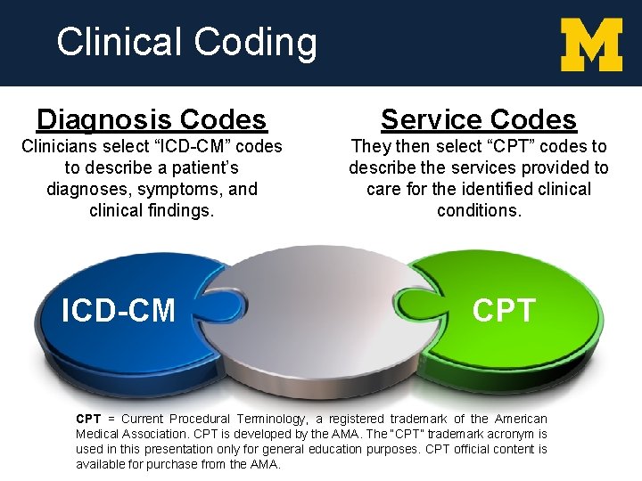 Clinical Coding Diagnosis Codes Service Codes Clinicians select “ICD-CM” codes to describe a patient’s