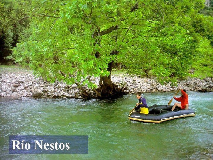 Río Nestos 