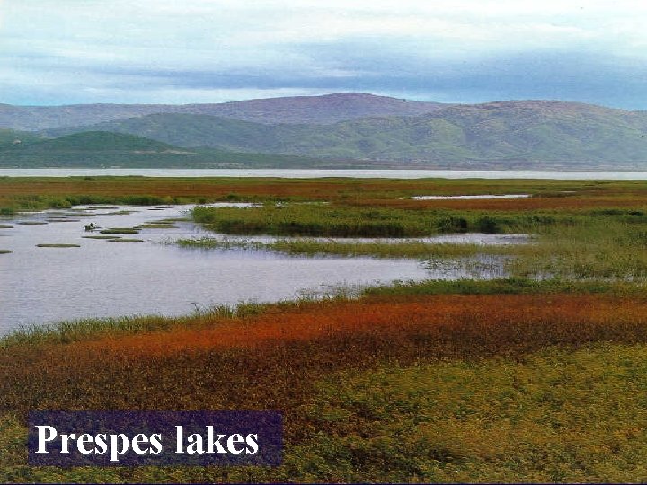 Prespes lakes 