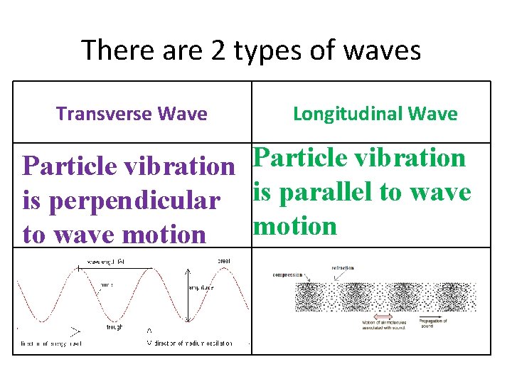 There are 2 types of waves Transverse Wave Longitudinal Wave Particle vibration is perpendicular
