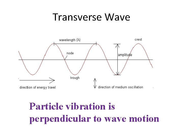 Transverse Wave Particle vibration is perpendicular to wave motion 