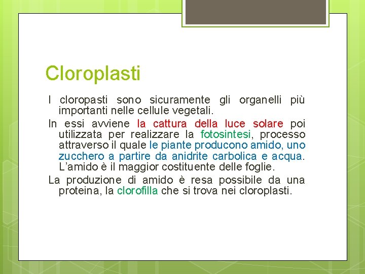 Cloroplasti I cloropasti sono sicuramente gli organelli più importanti nelle cellule vegetali. In essi Cloroplasti I cloropasti sono sicuramente gli organelli più importanti nelle cellule vegetali. In essi