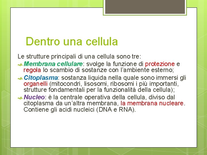 Dentro una cellula Le strutture principali di una cellula sono tre: Membrana cellulare: svolge Dentro una cellula Le strutture principali di una cellula sono tre: Membrana cellulare: svolge