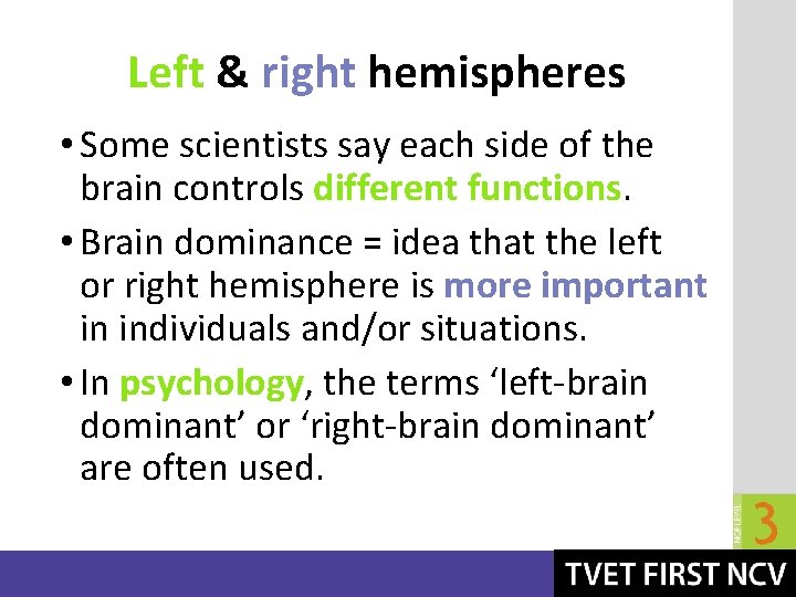 Left & right hemispheres • Some scientists say each side of the brain controls