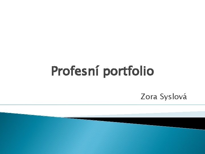 Profesní portfolio Zora Syslová 