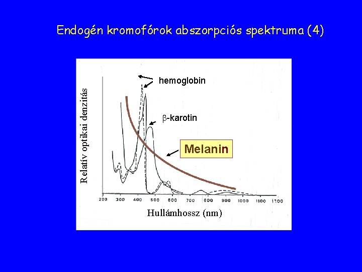 Endogén kromofórok abszorpciós spektruma (4) Relatív optikai denzitás hemoglobin b-karotin Melanin Hullámhossz (nm) 