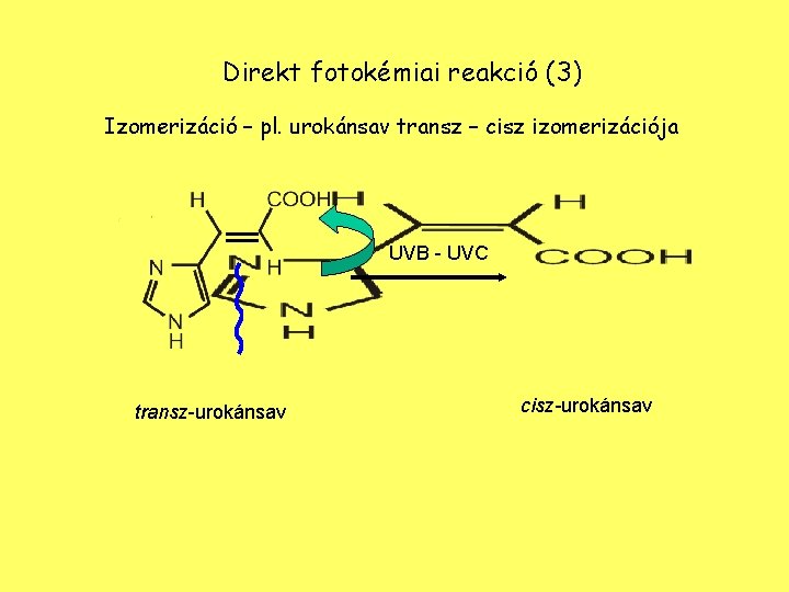 Direkt fotokémiai reakció (3) Izomerizáció – pl. urokánsav transz – cisz izomerizációja UVB -