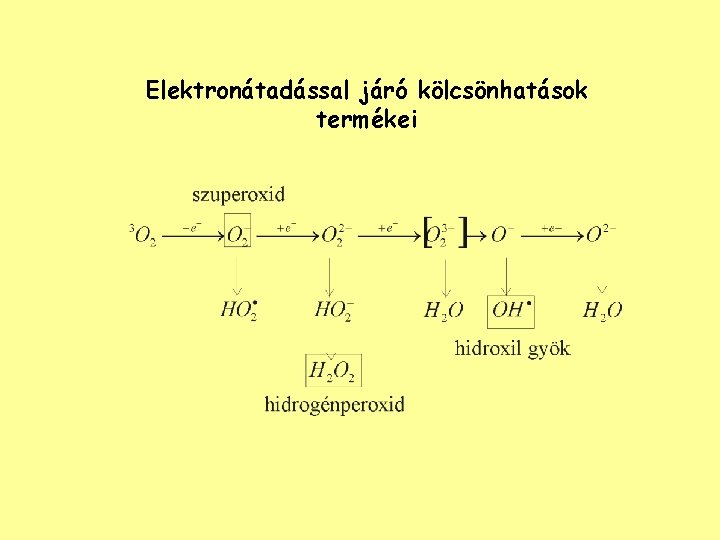 Elektronátadással járó kölcsönhatások termékei 